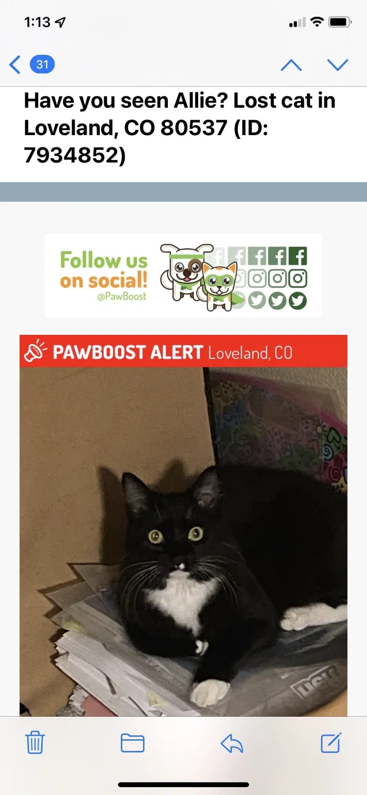 Lost cat in Loveland, CO, 80537