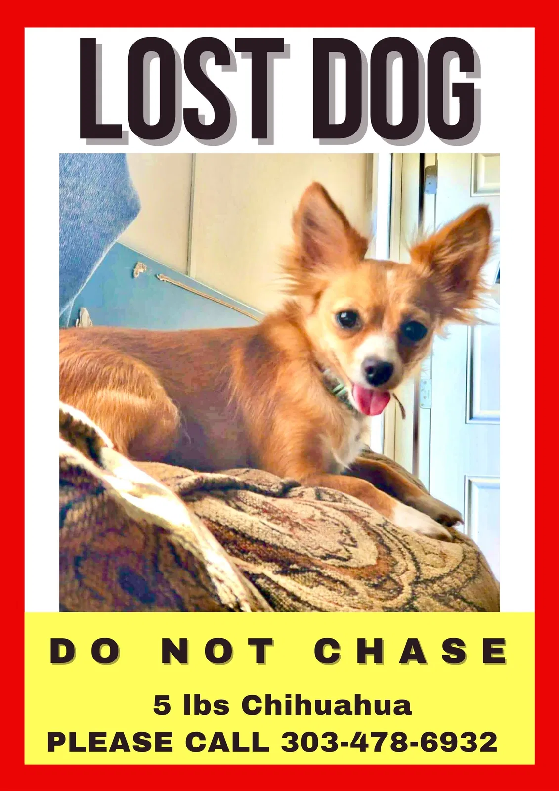 Lost dog in Lafayette, CO, 80026