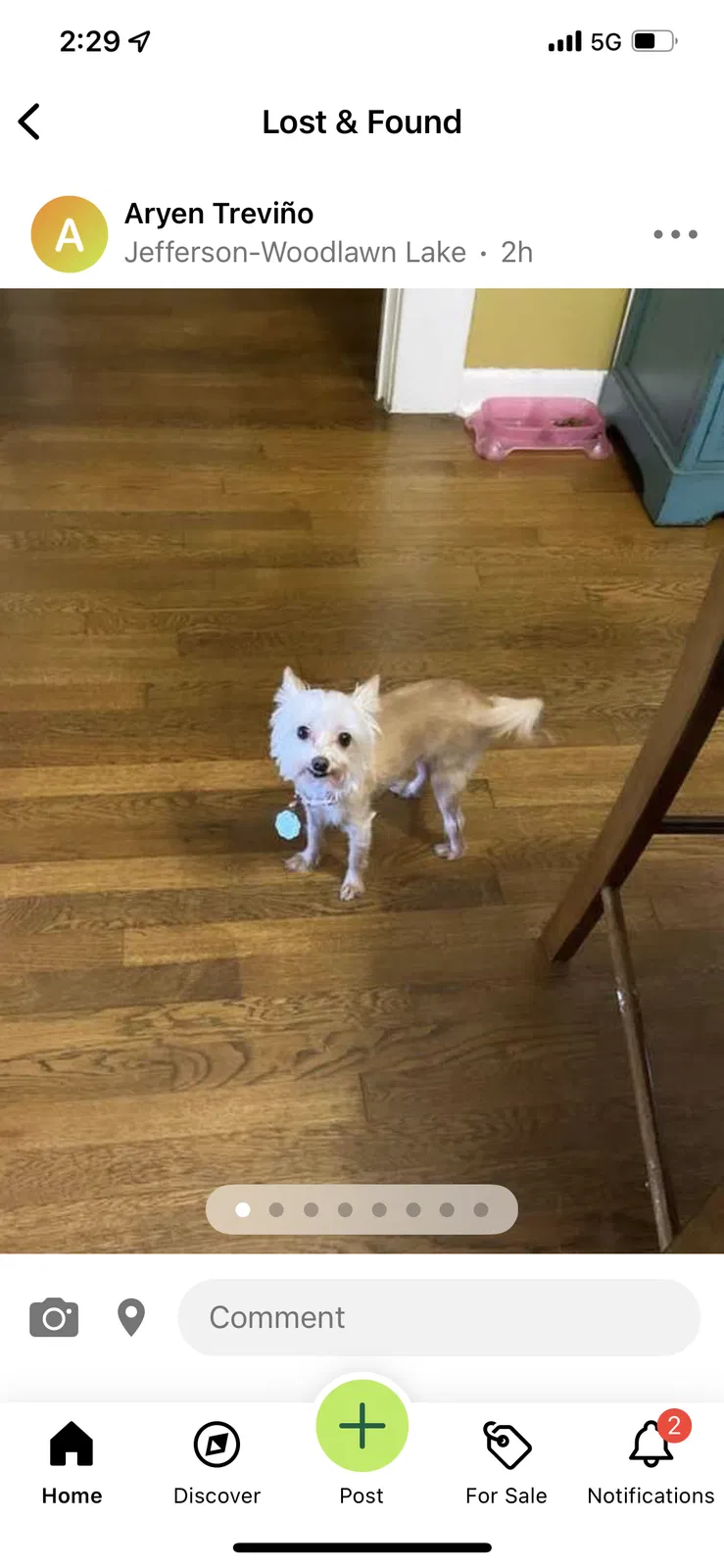 Lost dog in San Antonio, TX, 78201