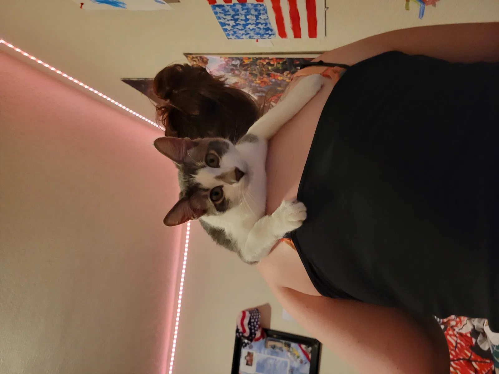 Lost cat in Rialto, CA, 92376