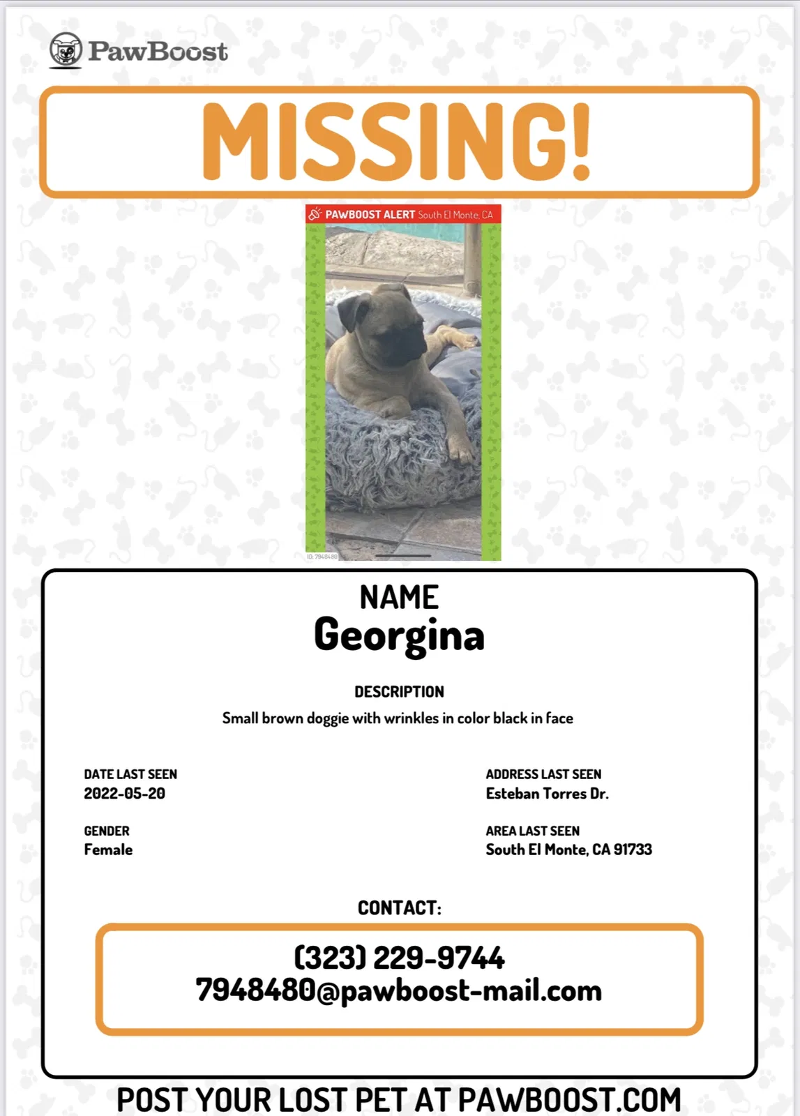Lost dog in South El Monte, CA, 91733