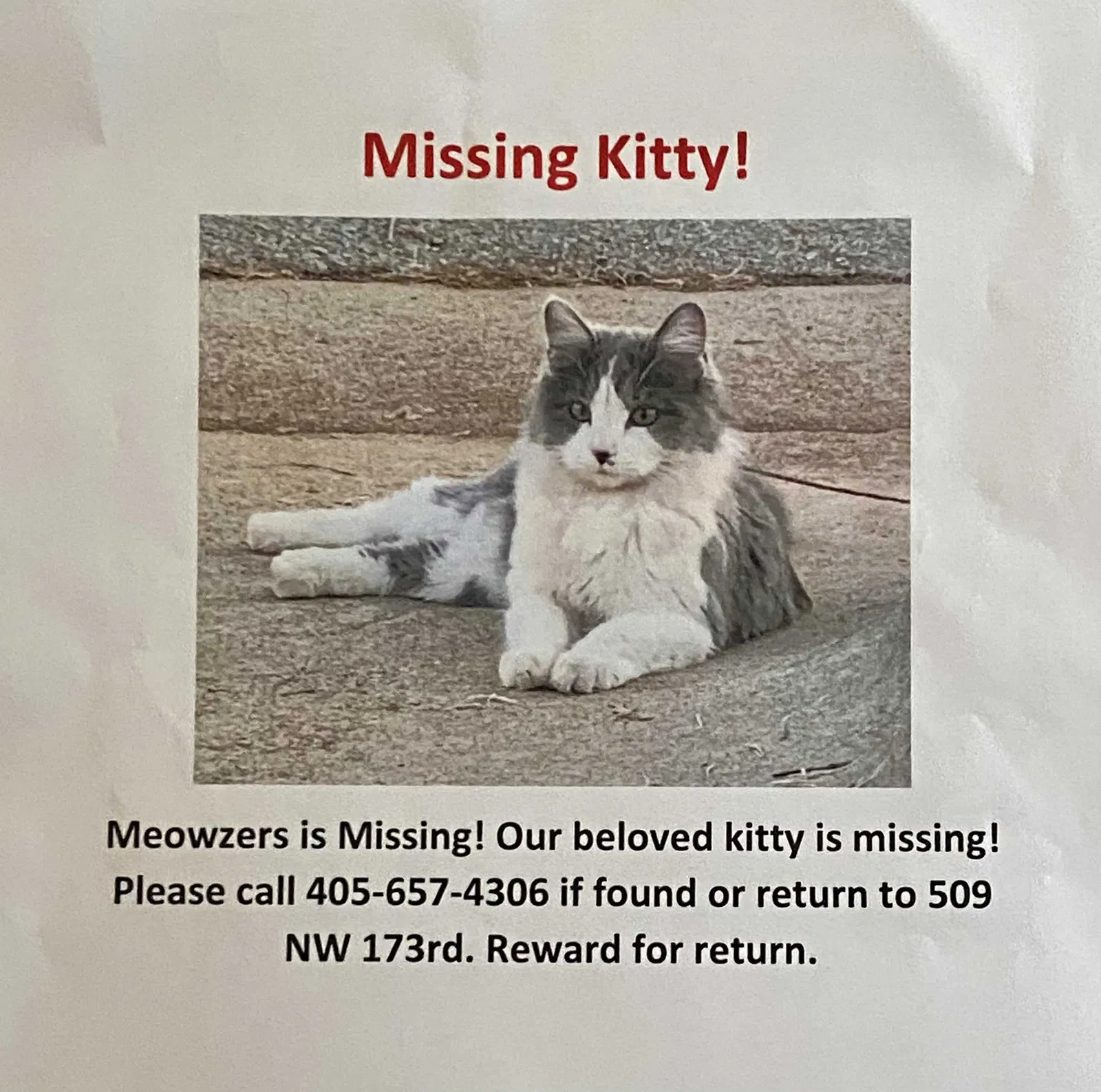 Lost cat in Edmond, OK, 73012