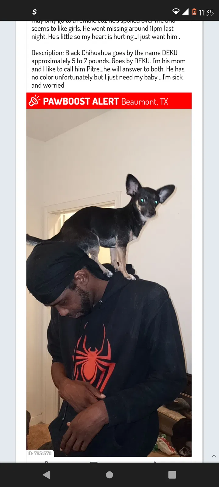 Lost dog in Beaumont, TX, 77705