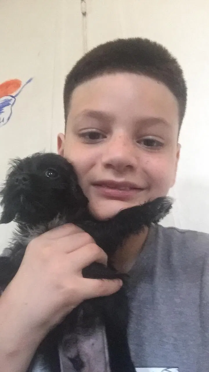 Lost dog in Murfreesboro, TN, 37127
