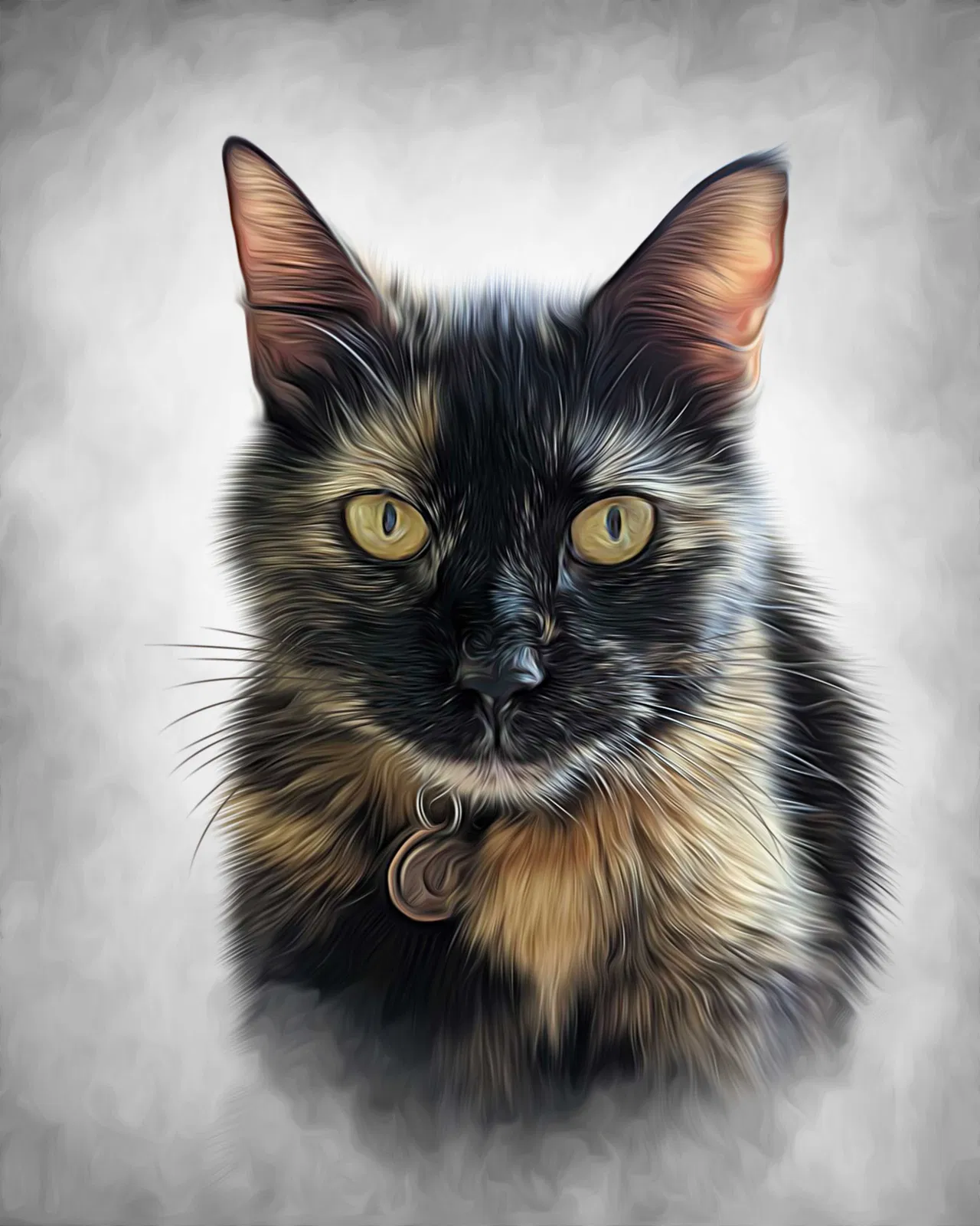 Lost cat in Elyria, OH, 44035