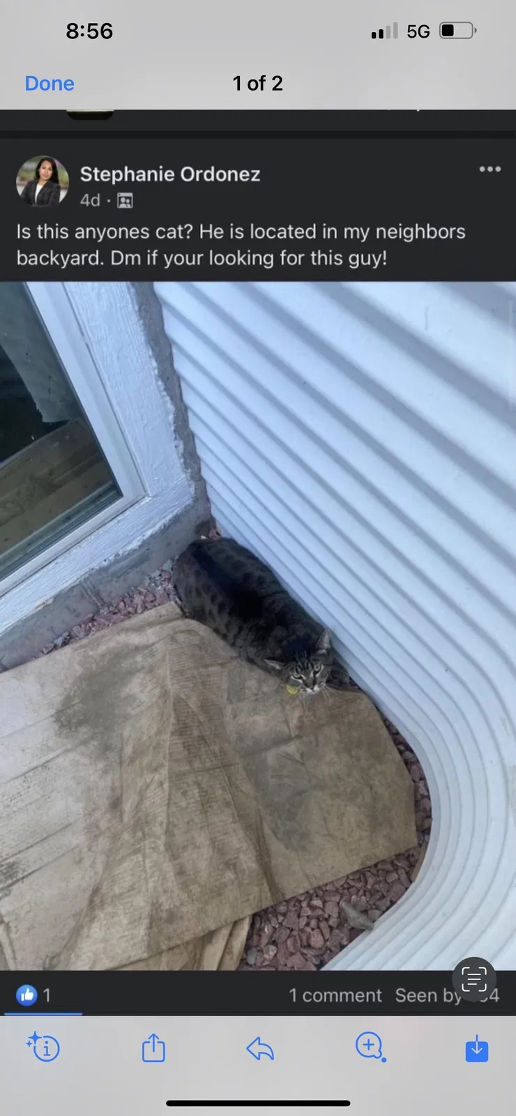 Lost cat in Sioux Falls, SD, 57110