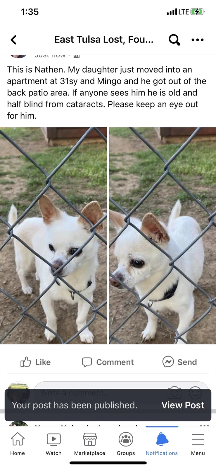 Lost dog in Tulsa, OK, 74145