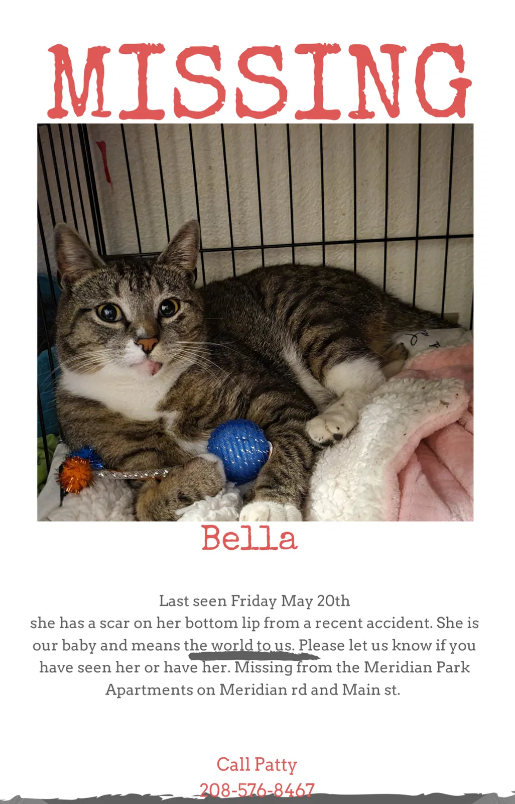 Lost cat in Meridian, ID, 83642
