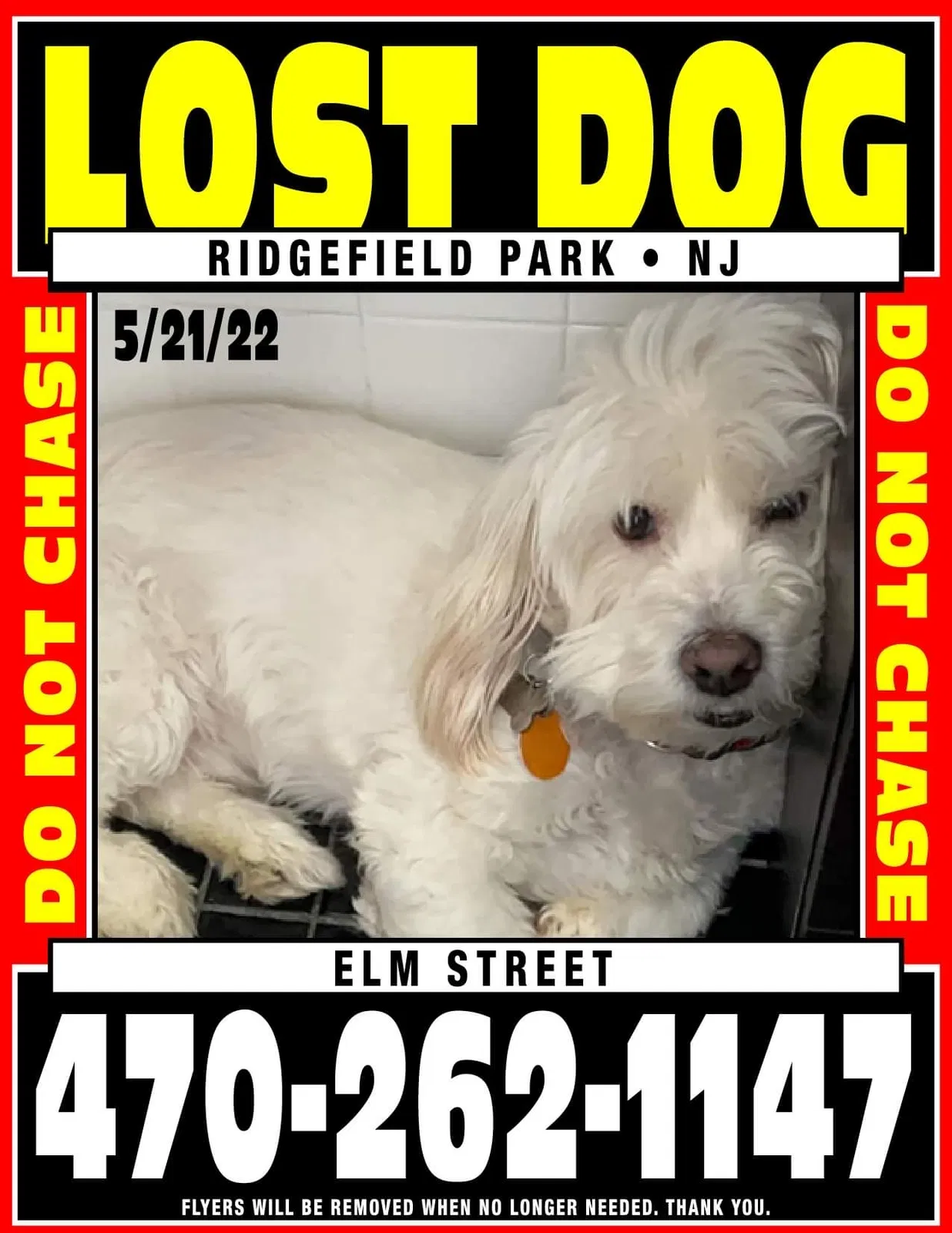 Lost dog in Ridgefield Park, NJ, 7660