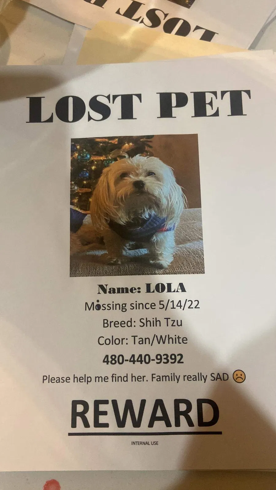 Lost dog in Phoenix, AZ, 85035