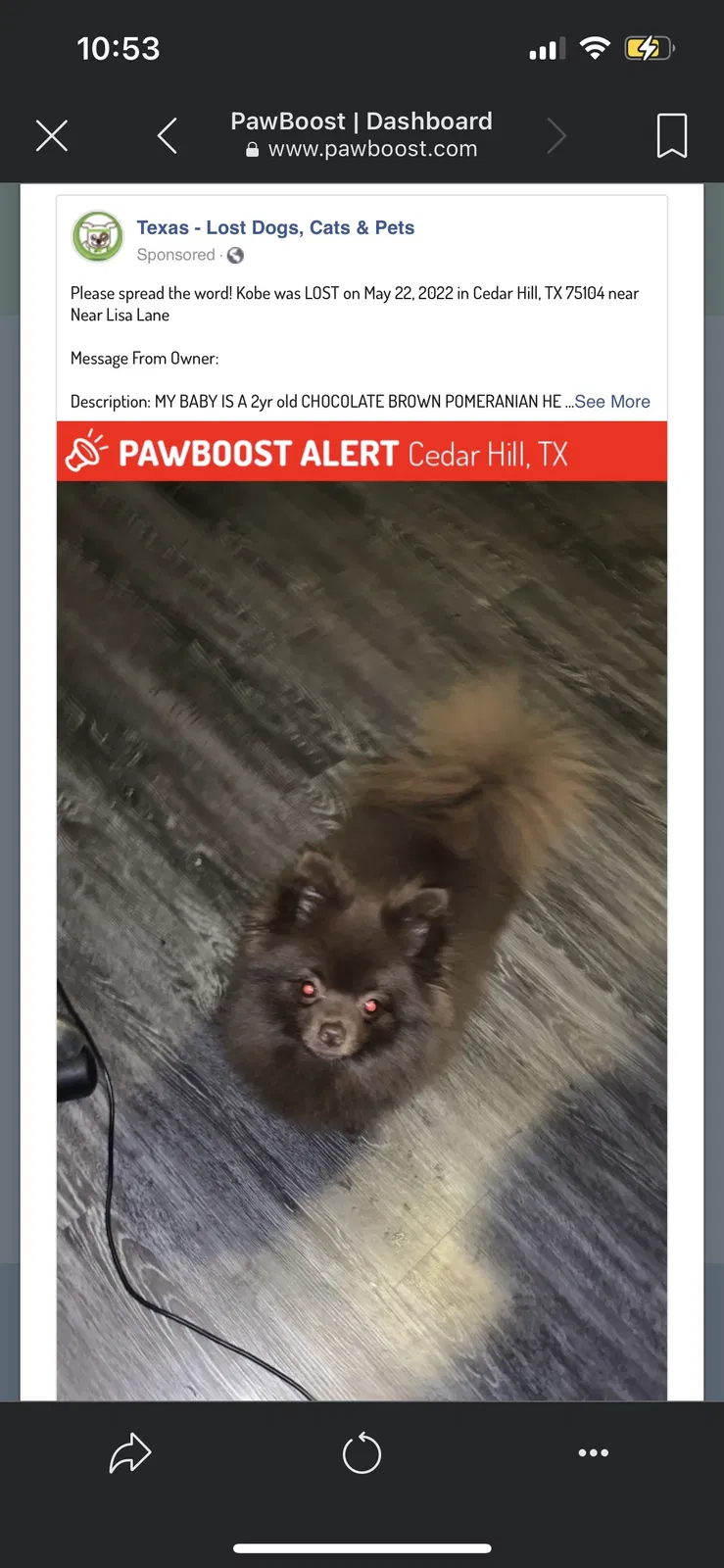 Lost dog in Cedar Hill, TX, 75104