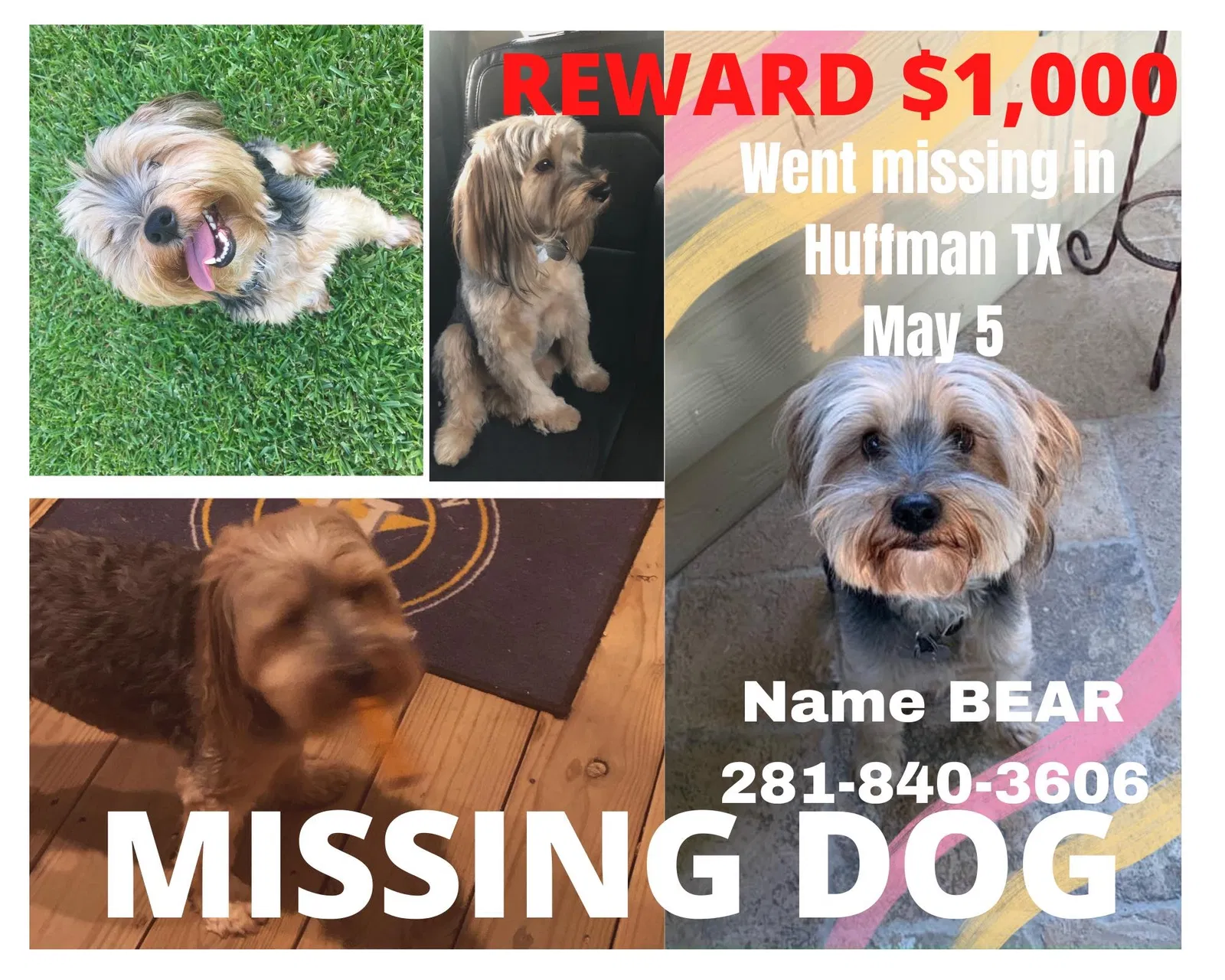 Lost dog in Huffman, TX, 77336