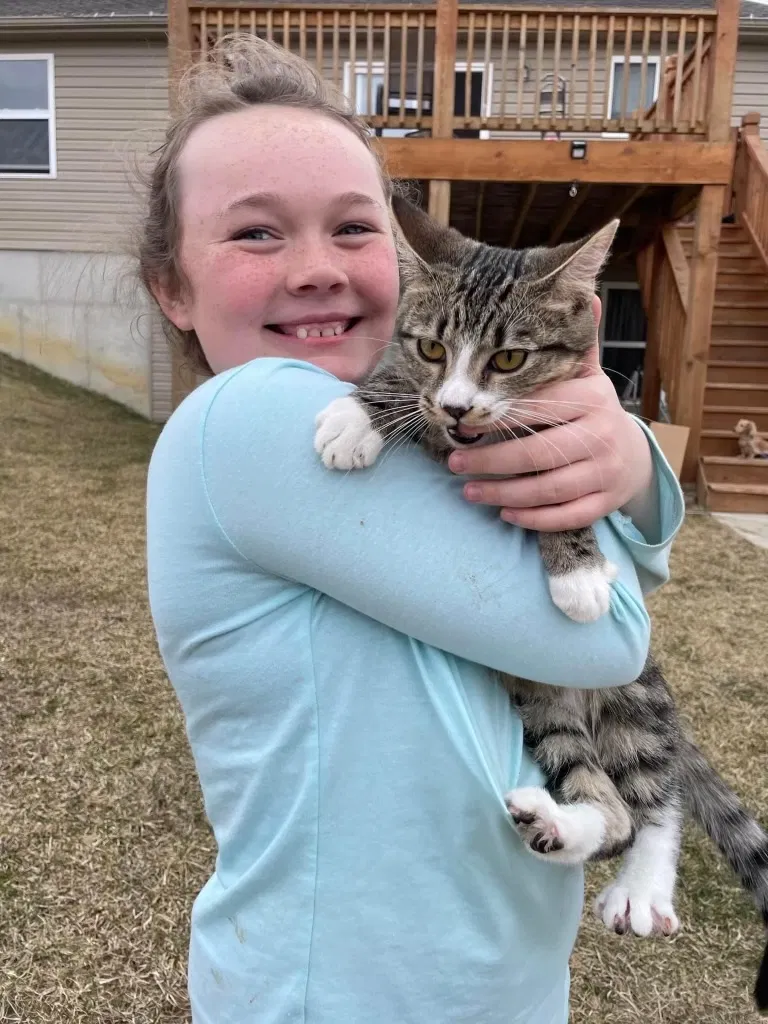 Lost cat in Moscow Mills, MO, 63362