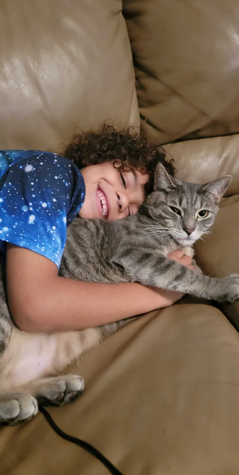 Lost cat in Port Saint Lucie, FL, 34952