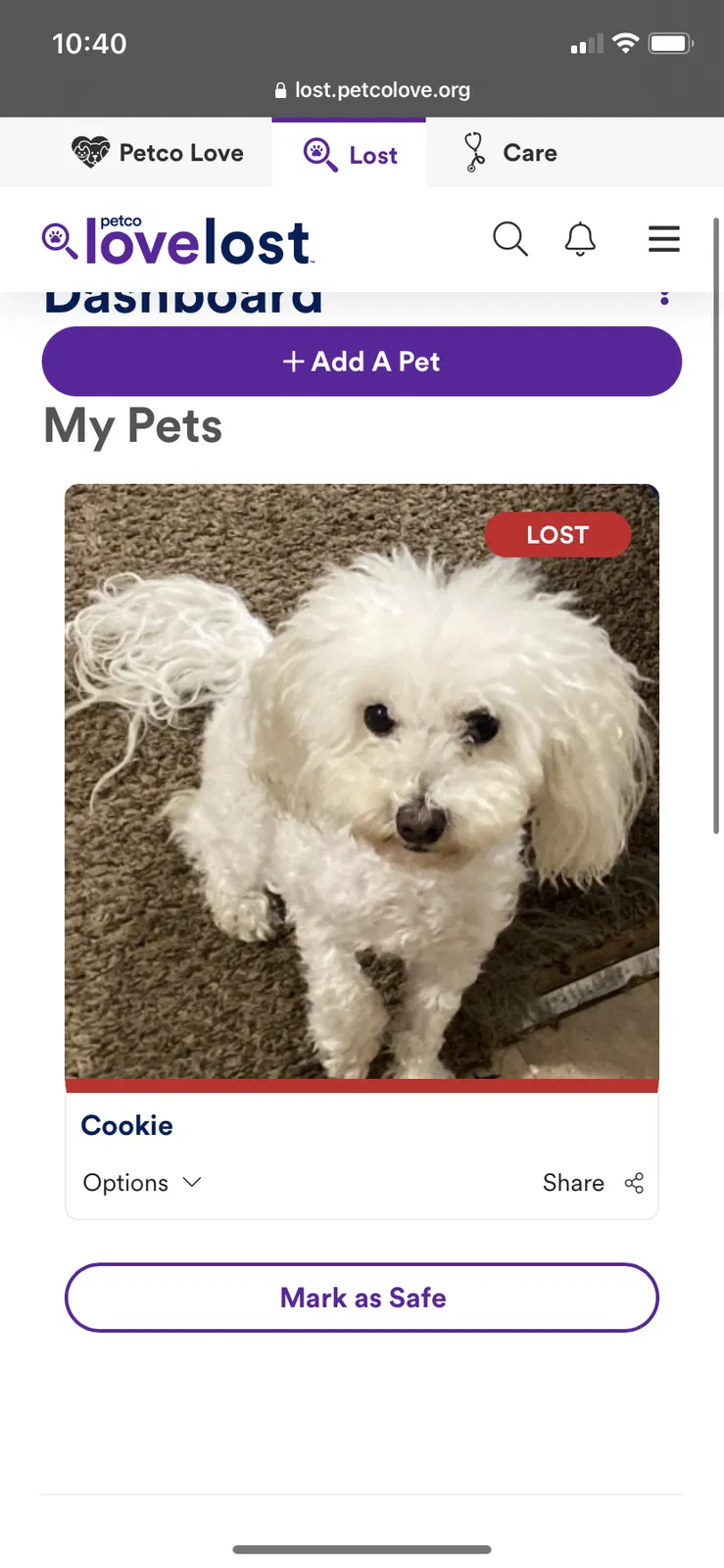 Lost dog in San Antonio, TX, 78238