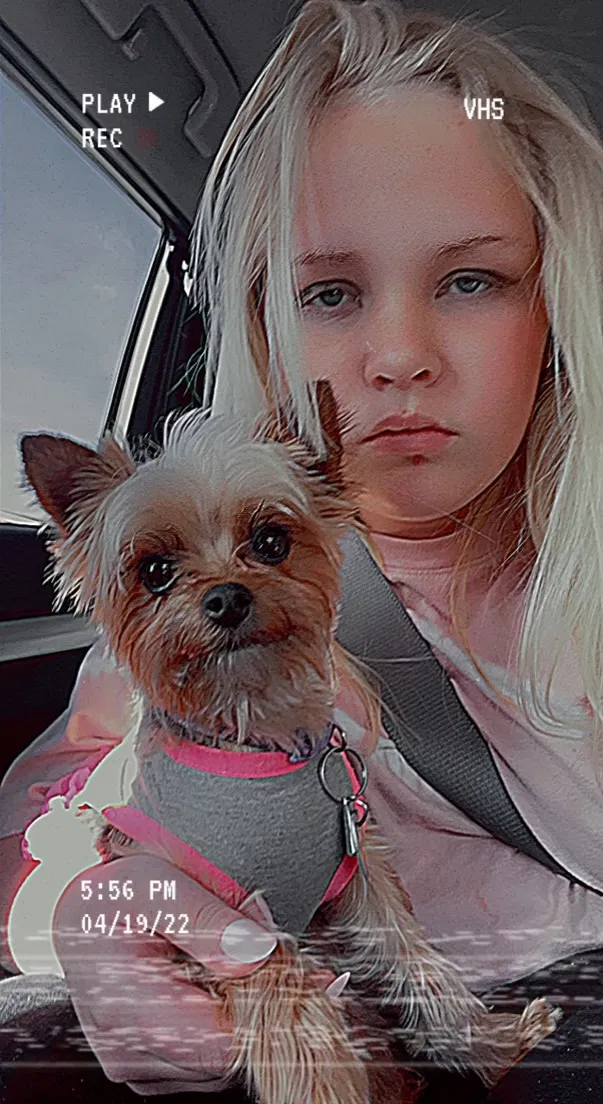 Lost dog in Meridian, ID, 83642