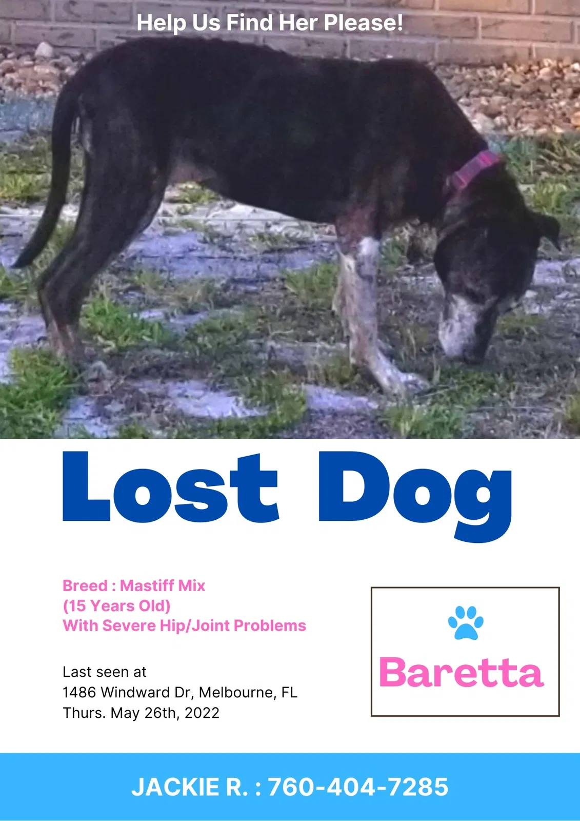 Lost dog in Melbourne, FL, 32935