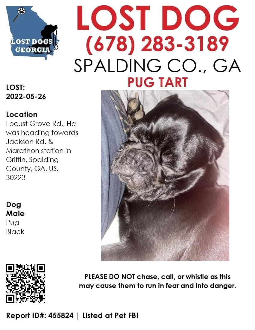 Lost dog in Griffin, GA, 30223