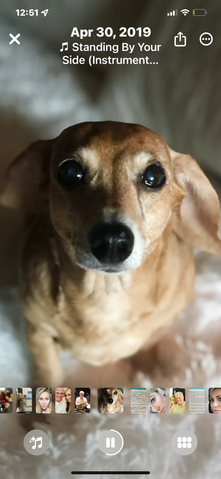 Lost dog in Edmond, OK, 73025