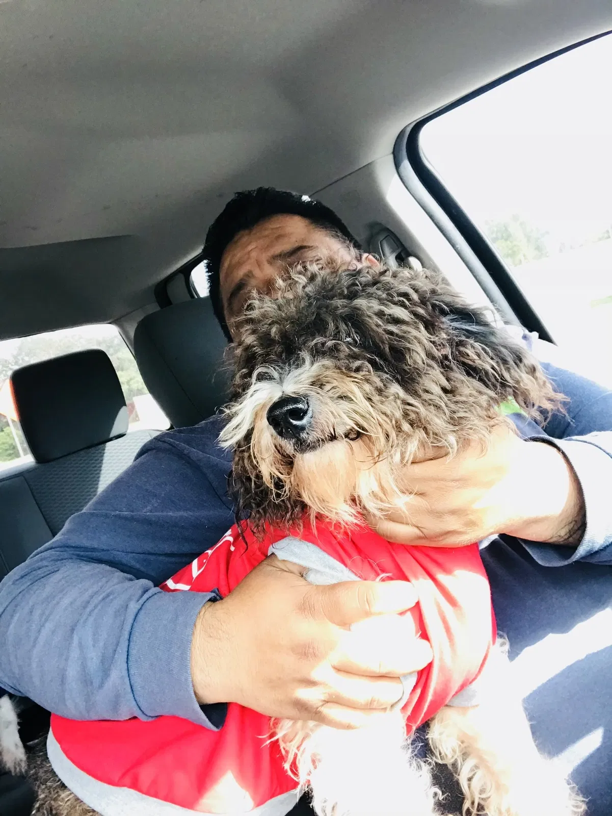 Lost dog in Houston, TX, 77087