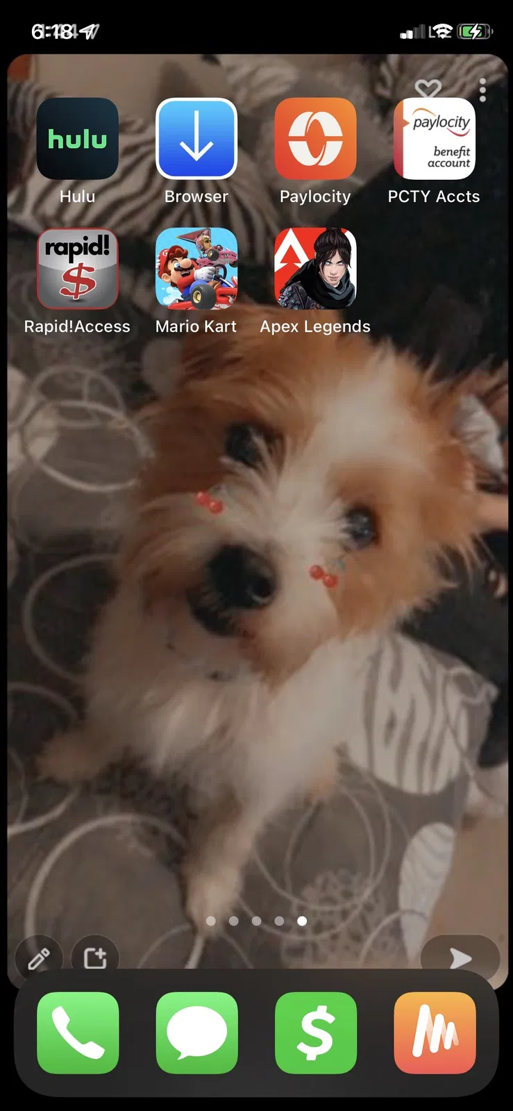 Lost dog in Oak Grove, MO, 64075