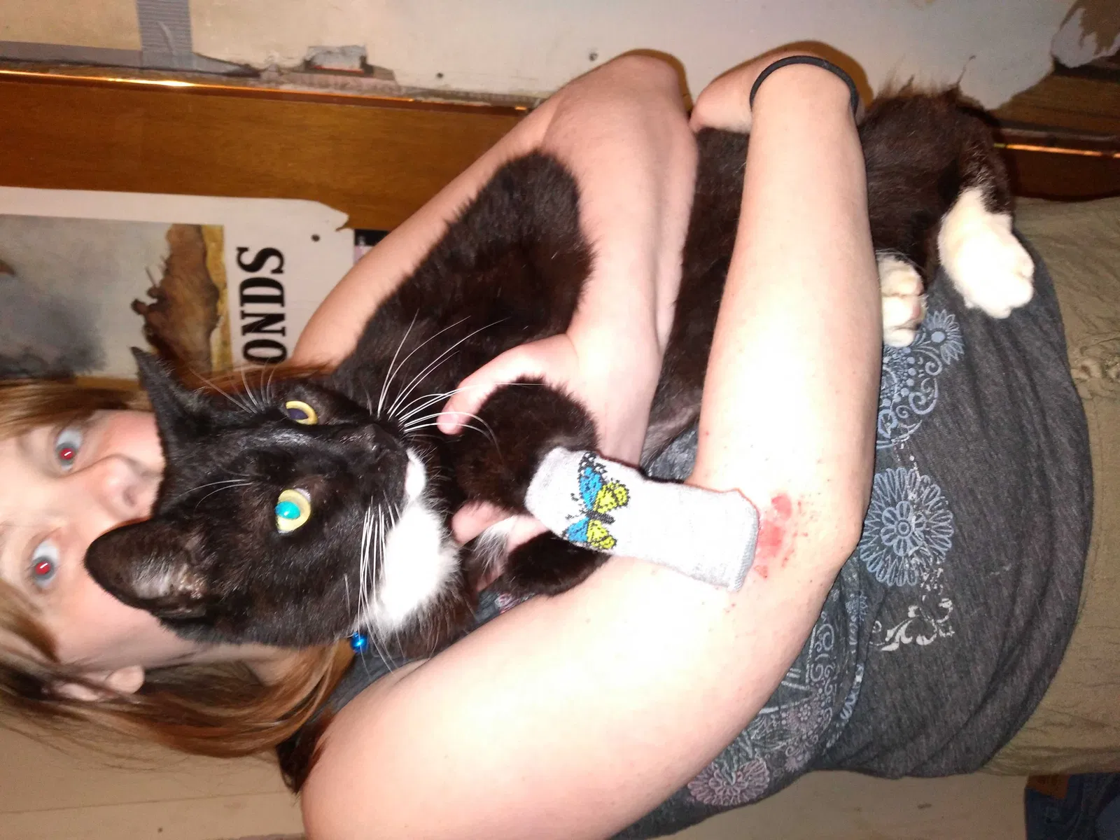 Lost cat in Fayetteville, NC, 28314