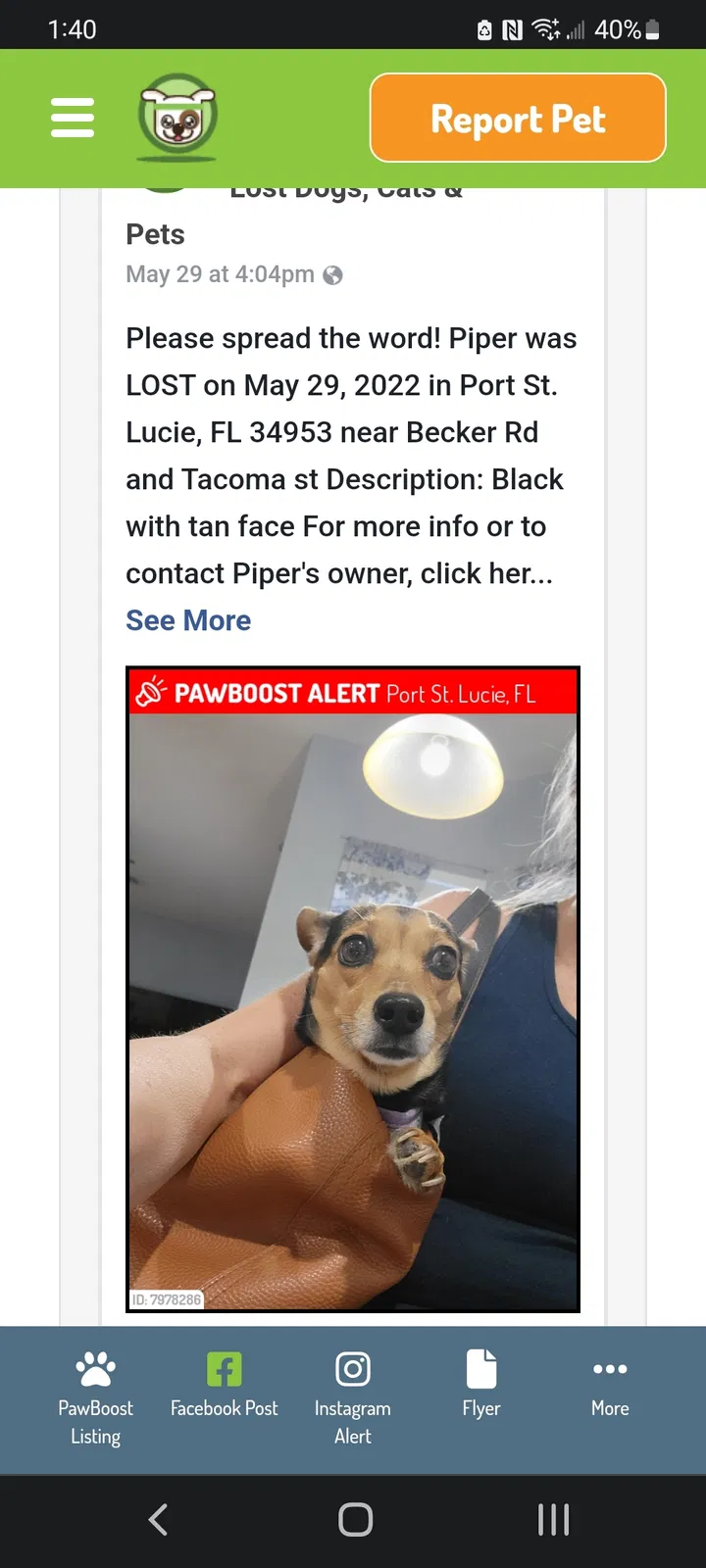 Lost dog in Port Saint Lucie, FL, 34953