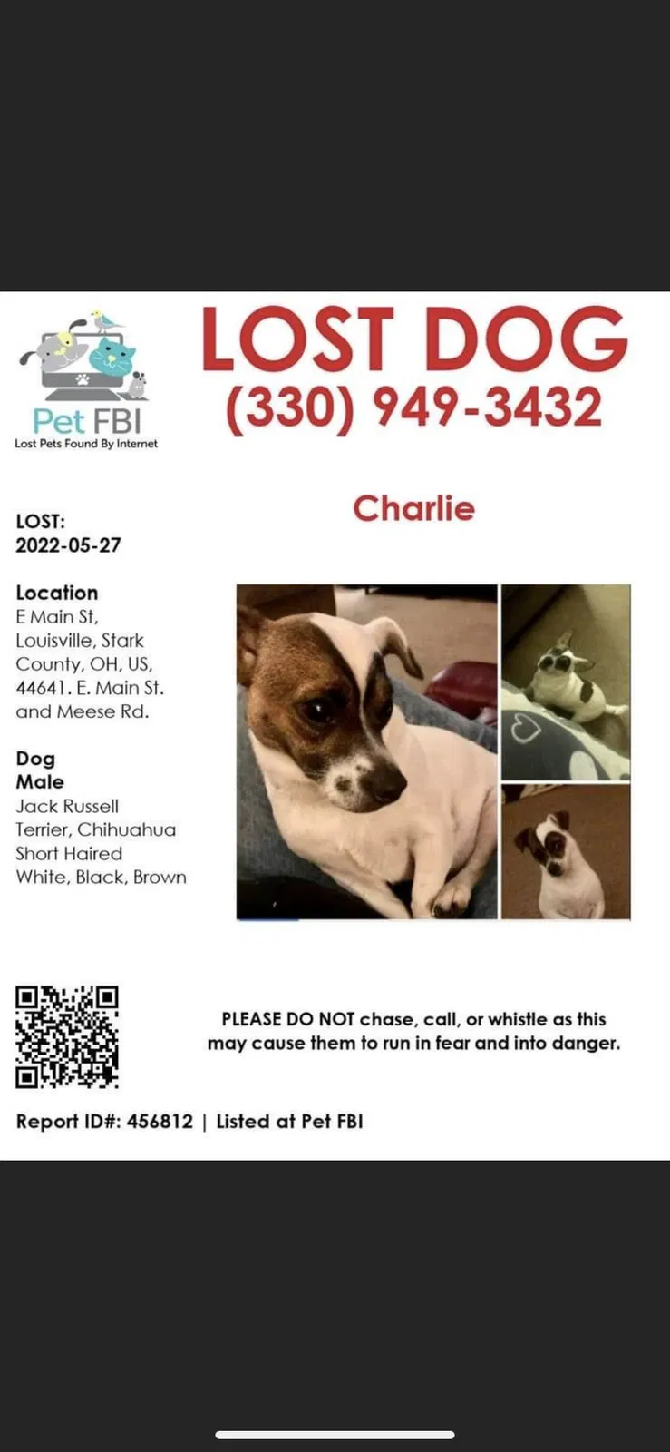 Lost dog in Louisville, OH, 44641
