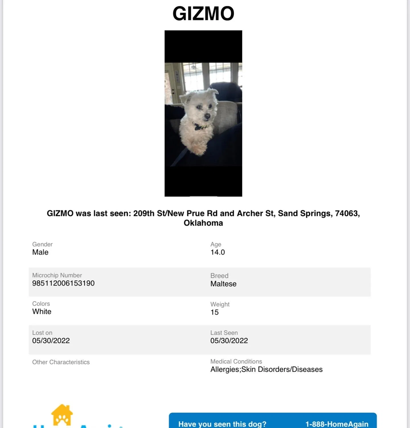 Lost dog in Sand Springs, OK, 74063