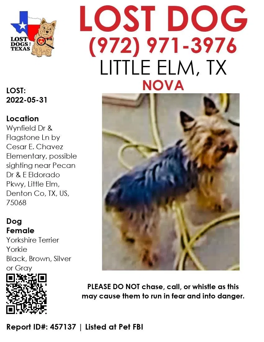 Lost dog in Little Elm, TX, 75068