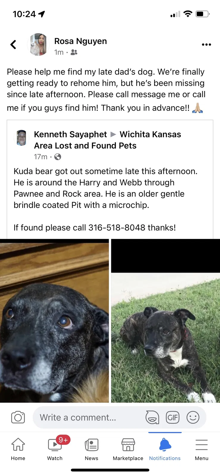 Lost dog in Wichita, KS, 67207