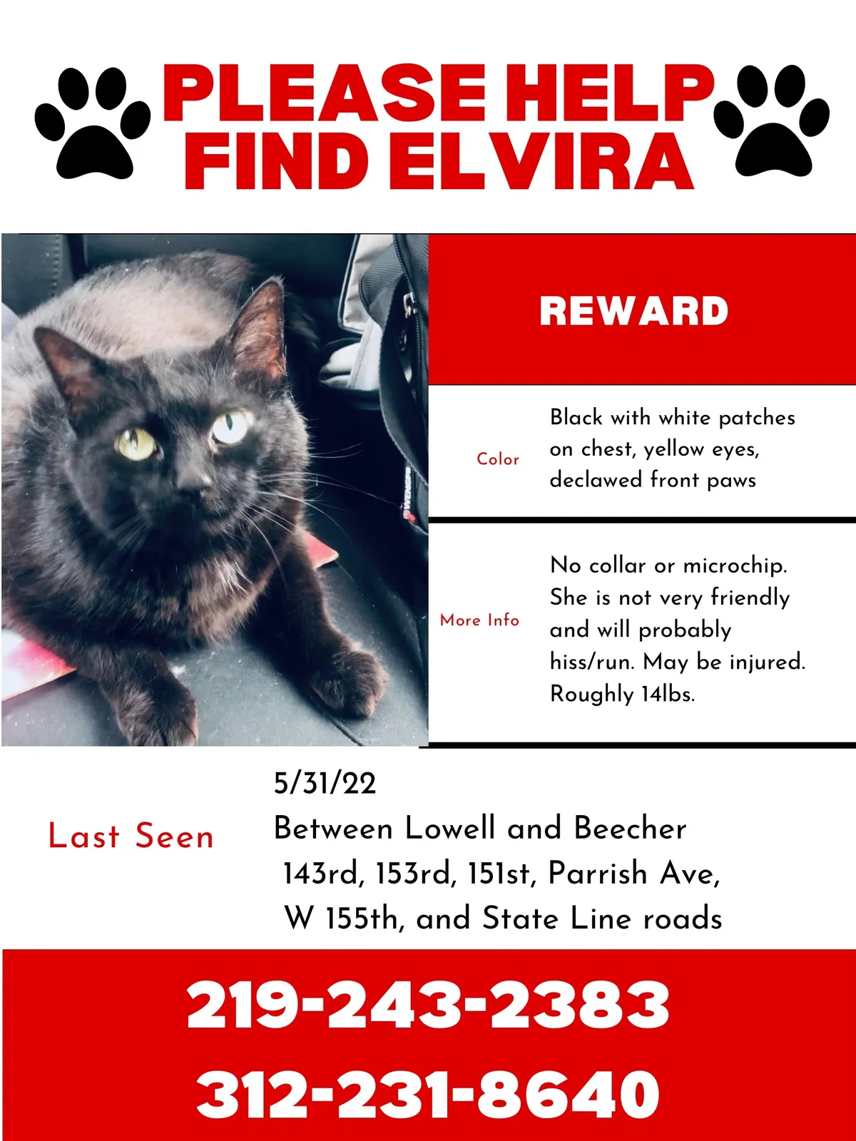 Lost cat in Beecher, IL, 60401
