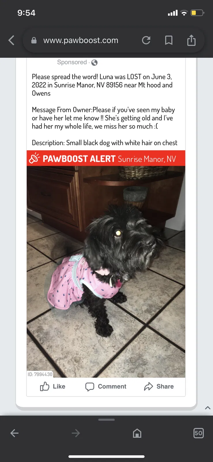 Lost dog in Las Vegas, NV, 89156