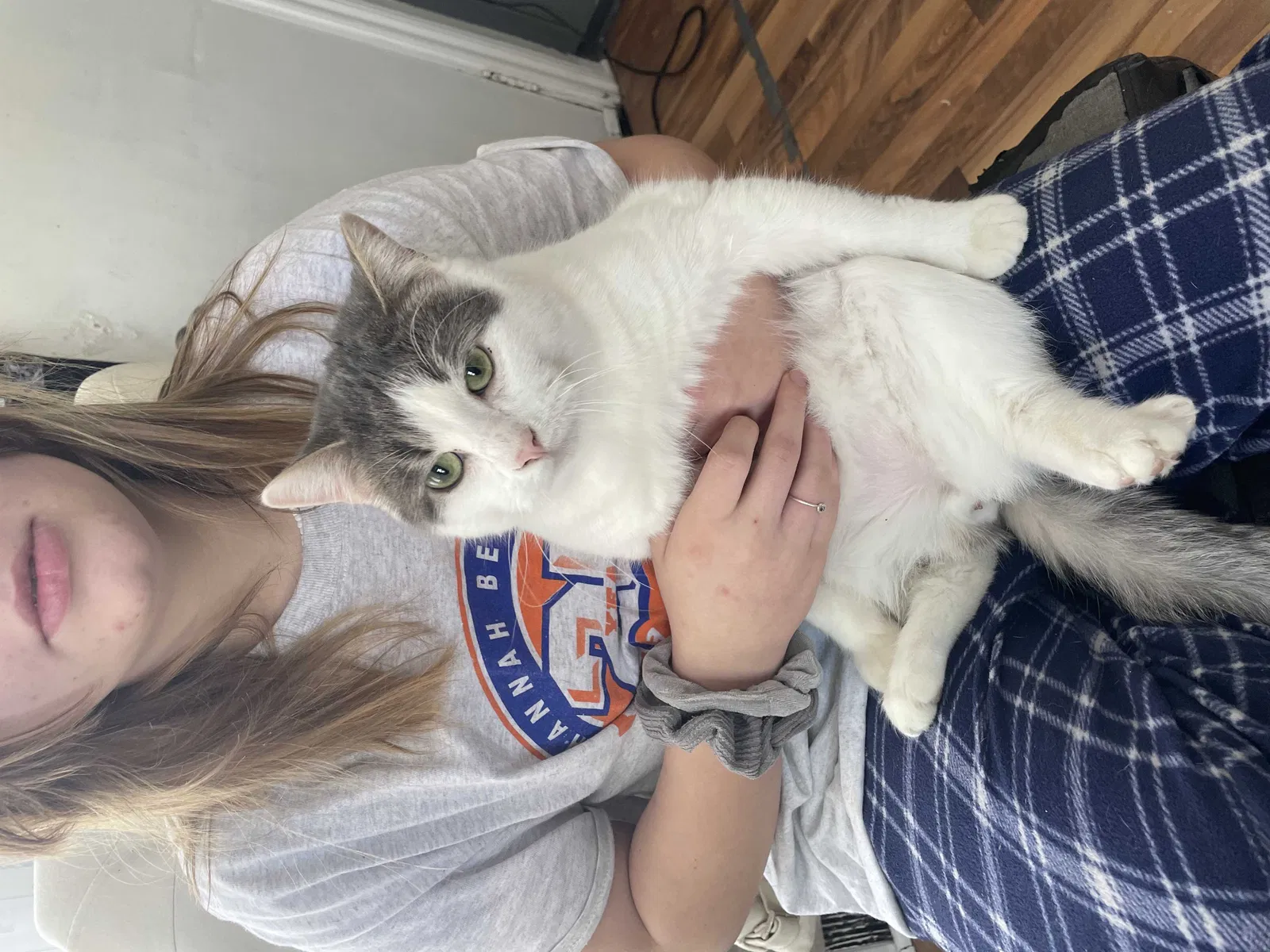 Lost cat in Lake Villa, IL, 60046