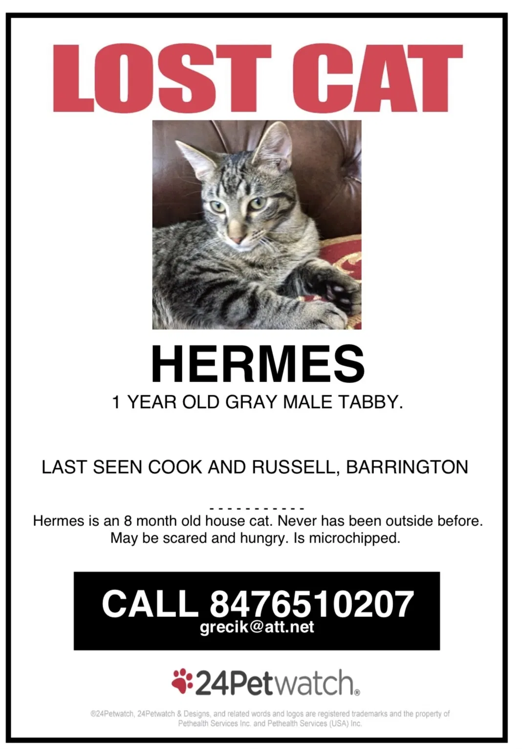Lost cat in Barrington, IL, 60010
