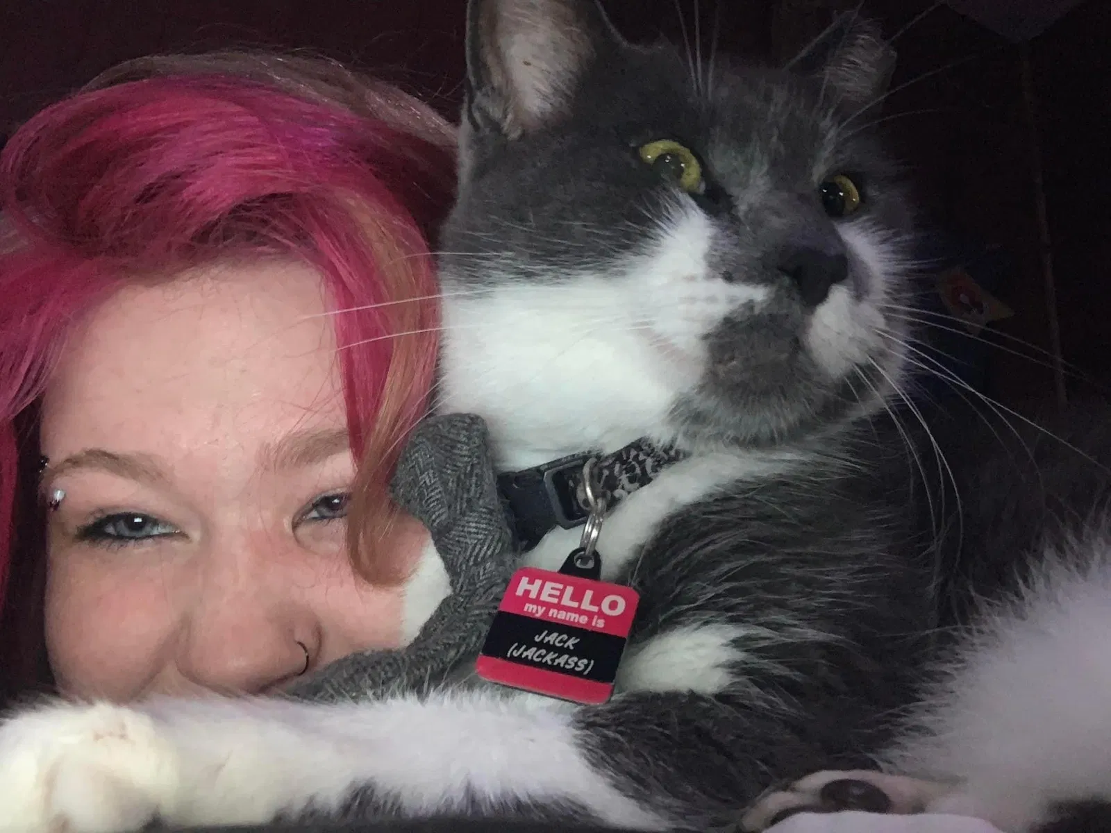 Lost cat in Deland, FL, 32724