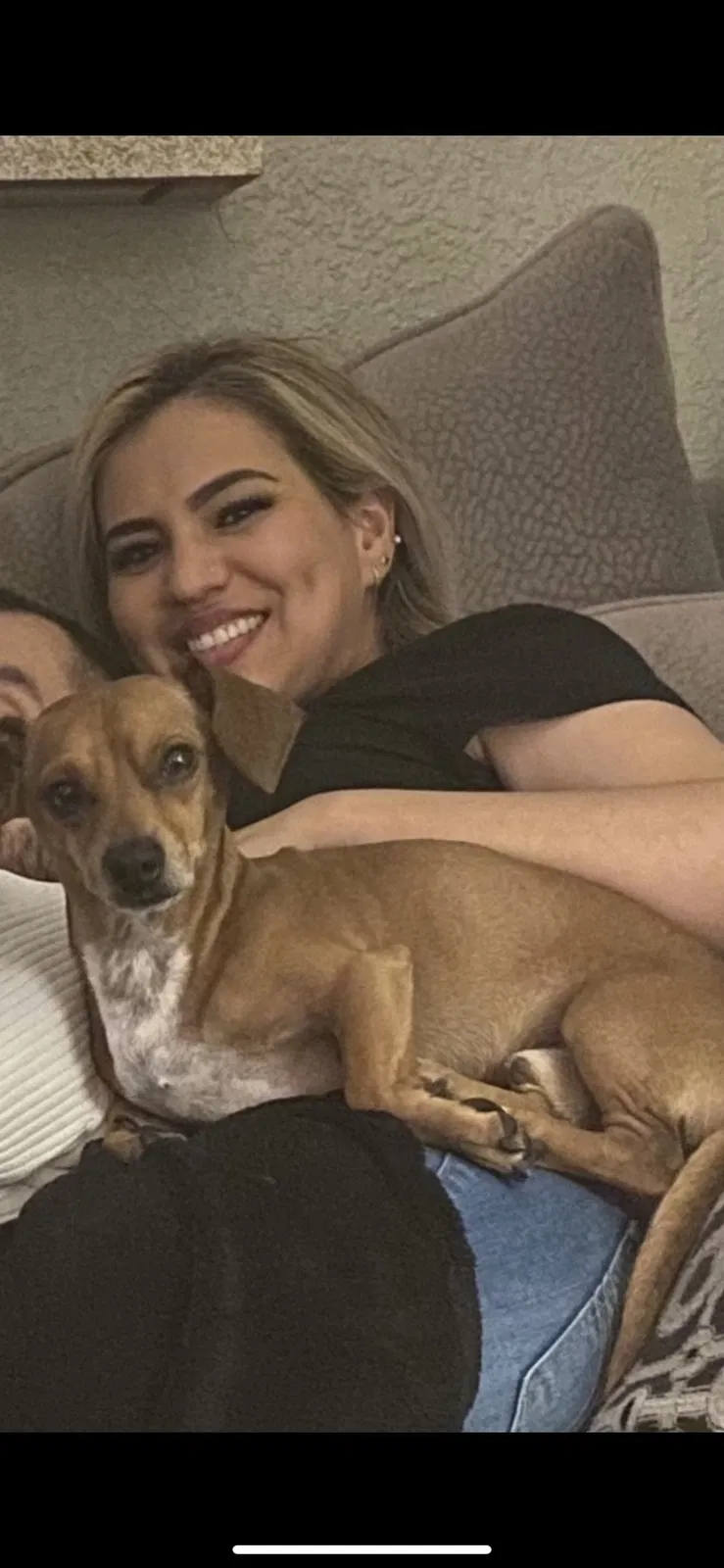 Lost dog in Pasadena, TX, 77504