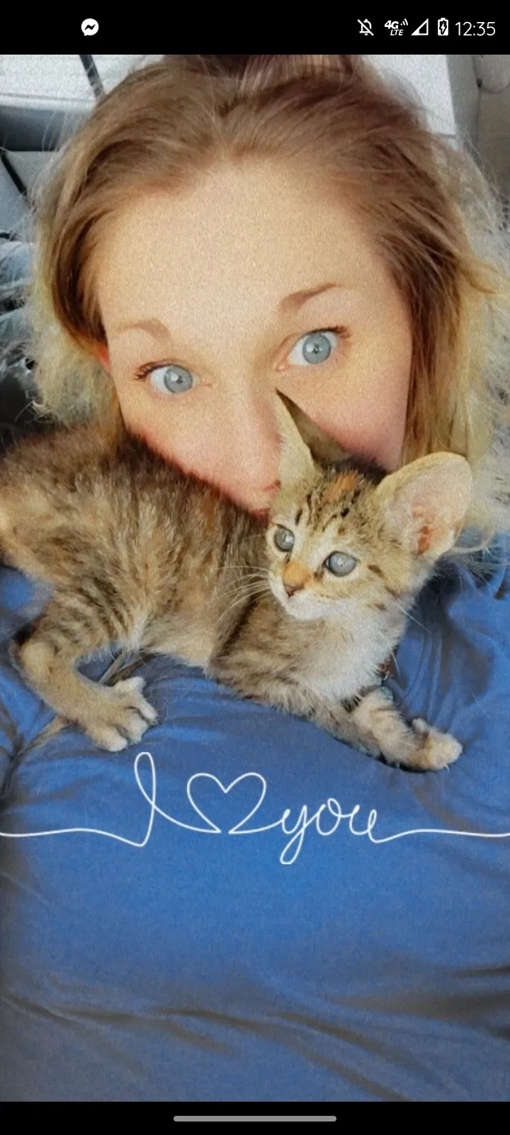 Lost cat in Morganton, NC, 28655