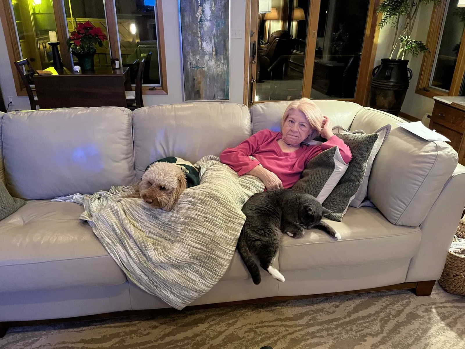 Lost cat in Mitchell, SD, 57301