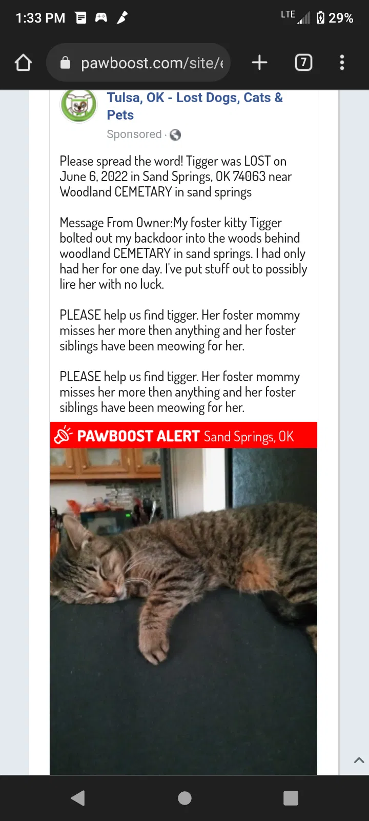 Lost cat in Sand Springs, OK, 74063