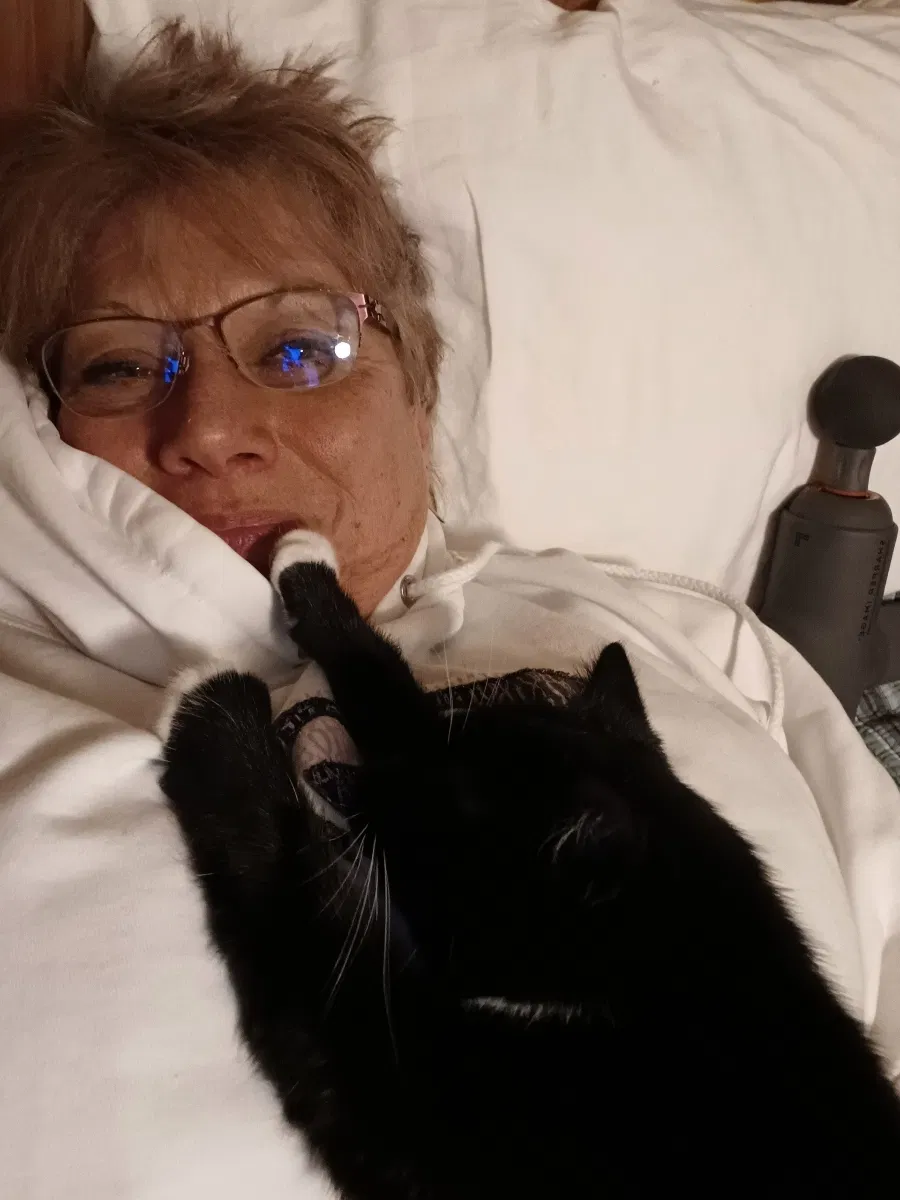 Lost cat in Salem, OR, 97306