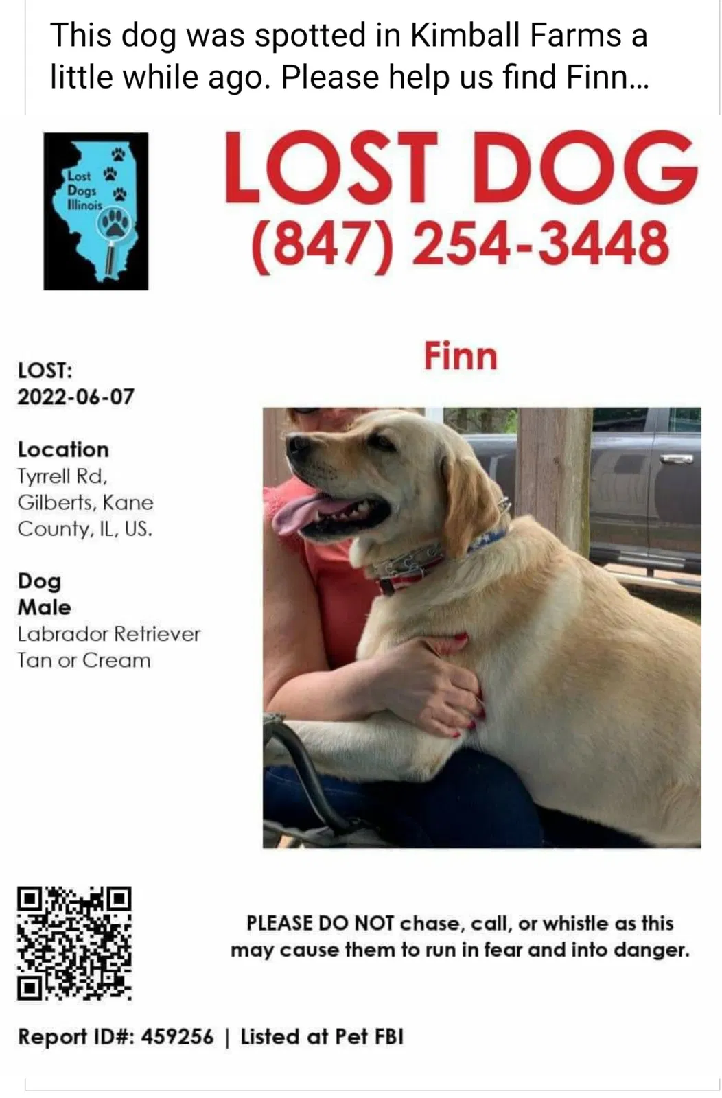 Lost dog in Gilberts, IL, 60136