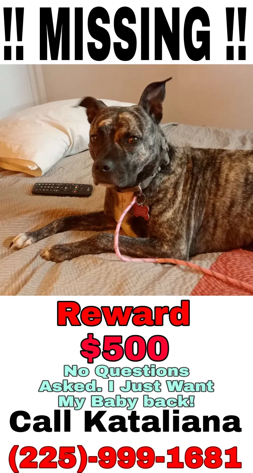 Lost dog in Baton Rouge, LA, 70816