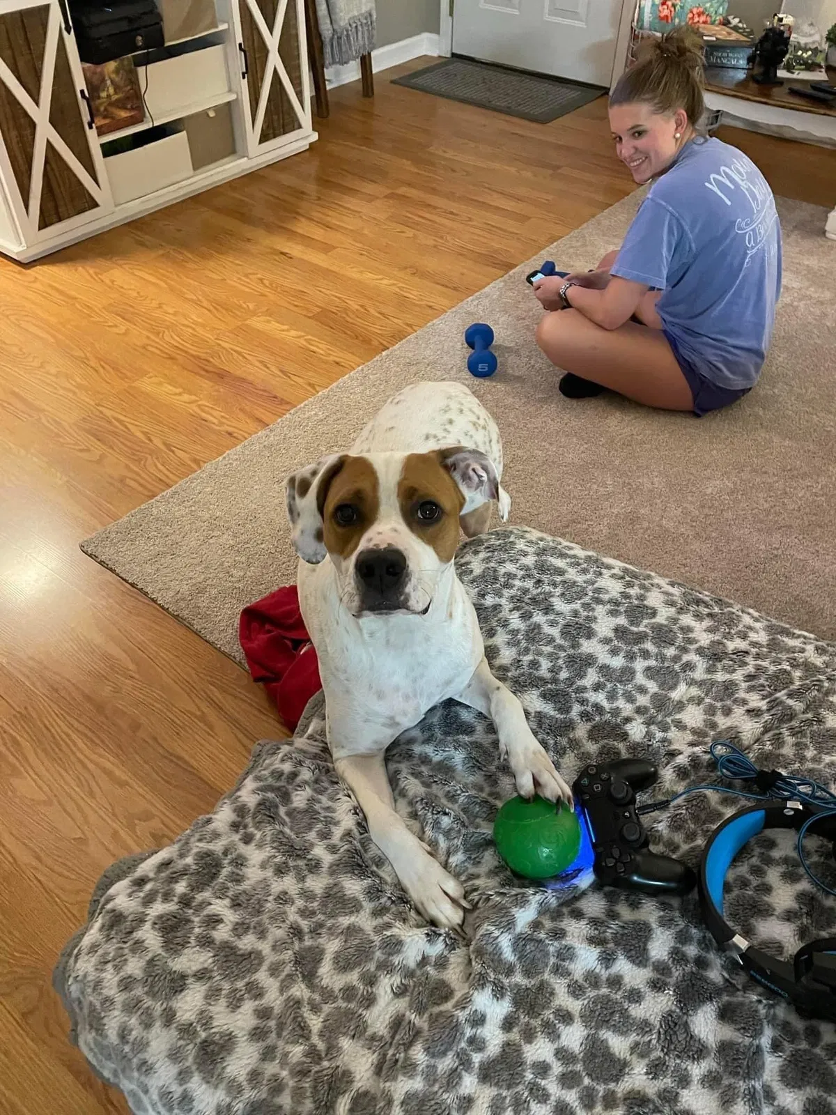 Lost dog in Rome, GA, 30165