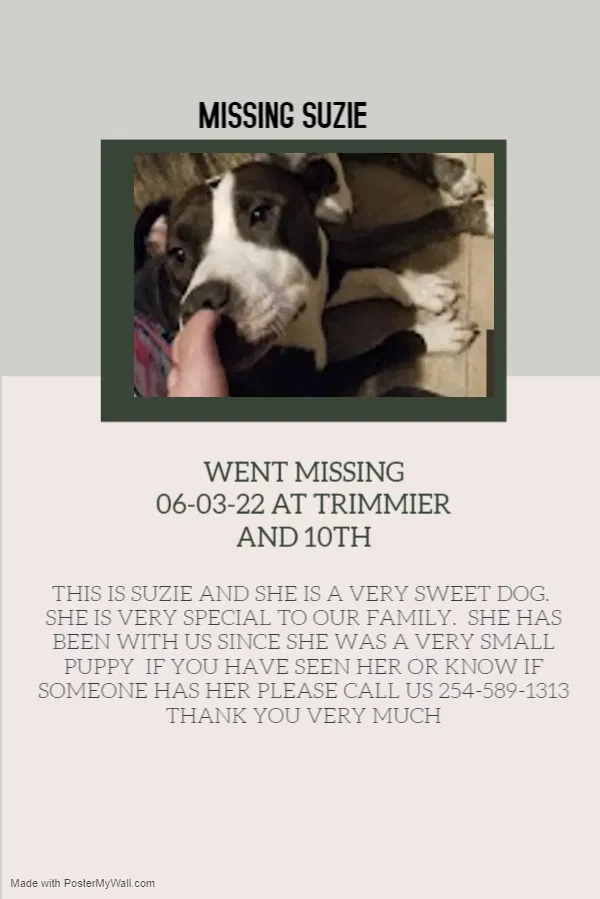 Lost dog in Killeen, TX, 76541
