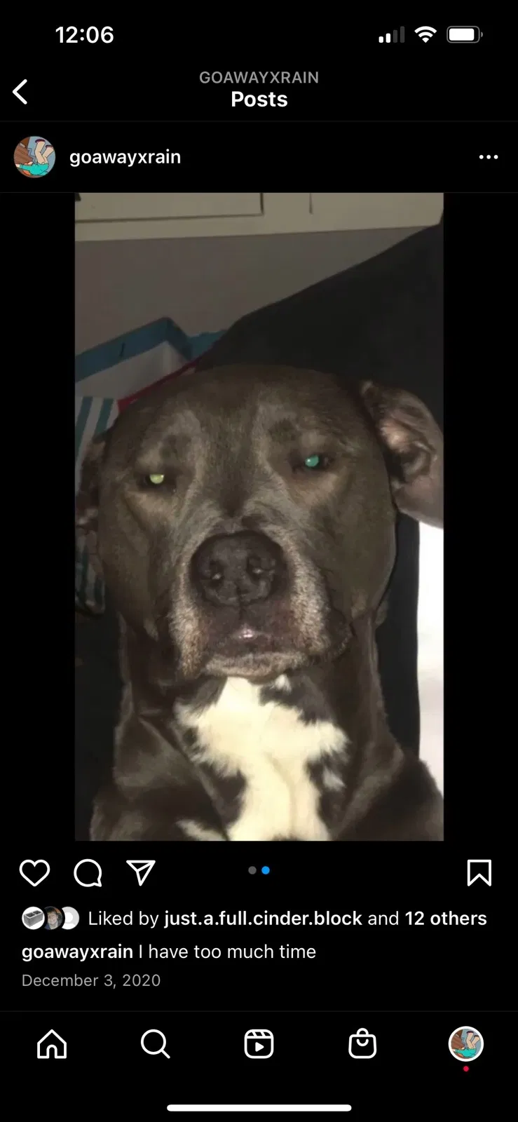 Lost dog in Manteca, CA, 95337