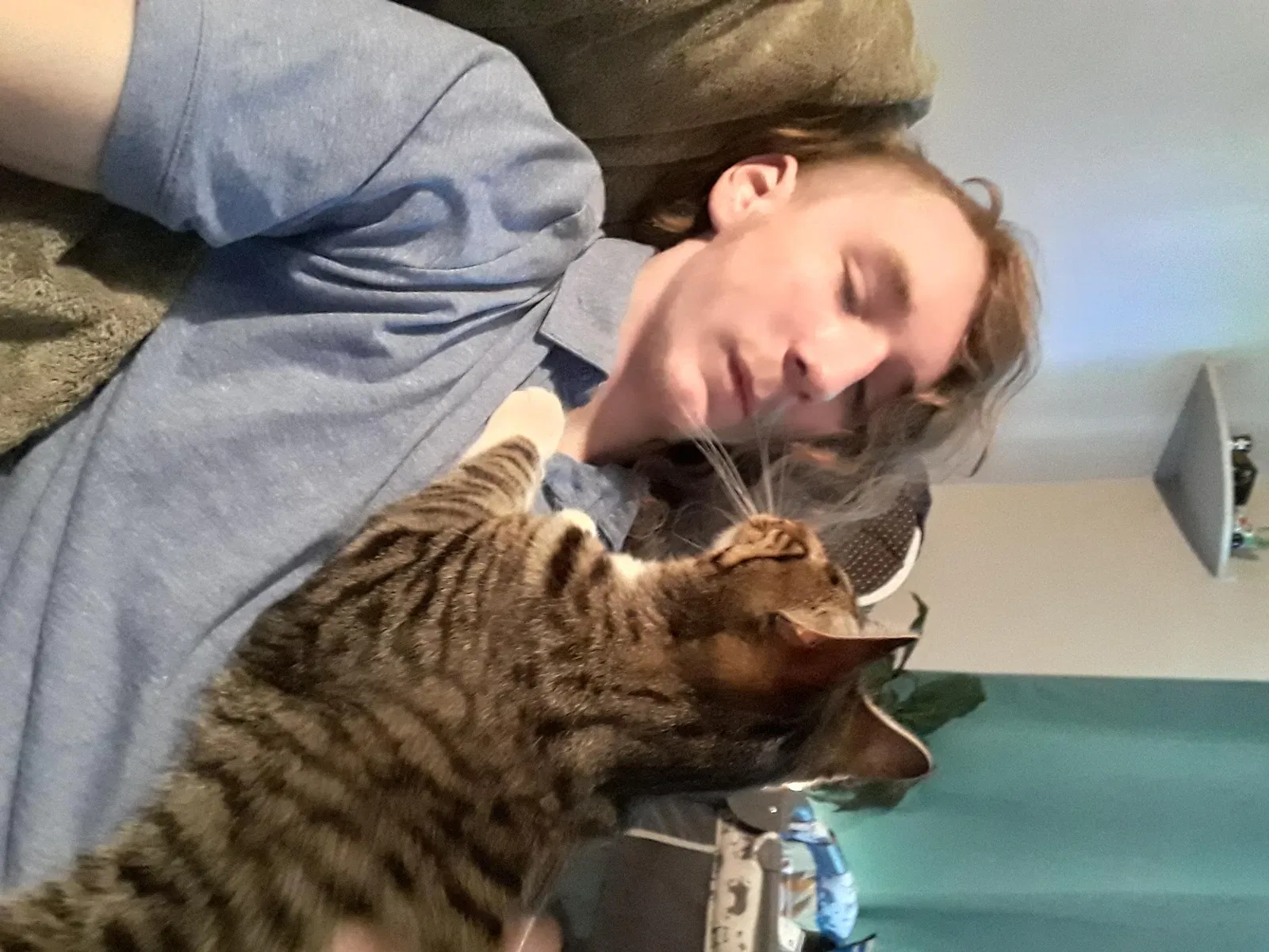 Lost cat in Clarksville, TN, 37042