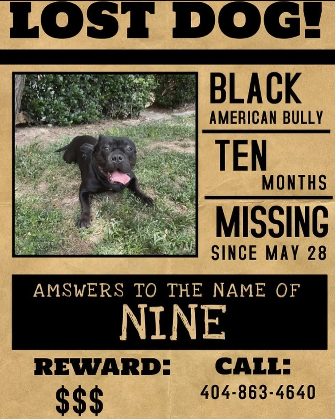 Lost dog in Atlanta, GA, 30339
