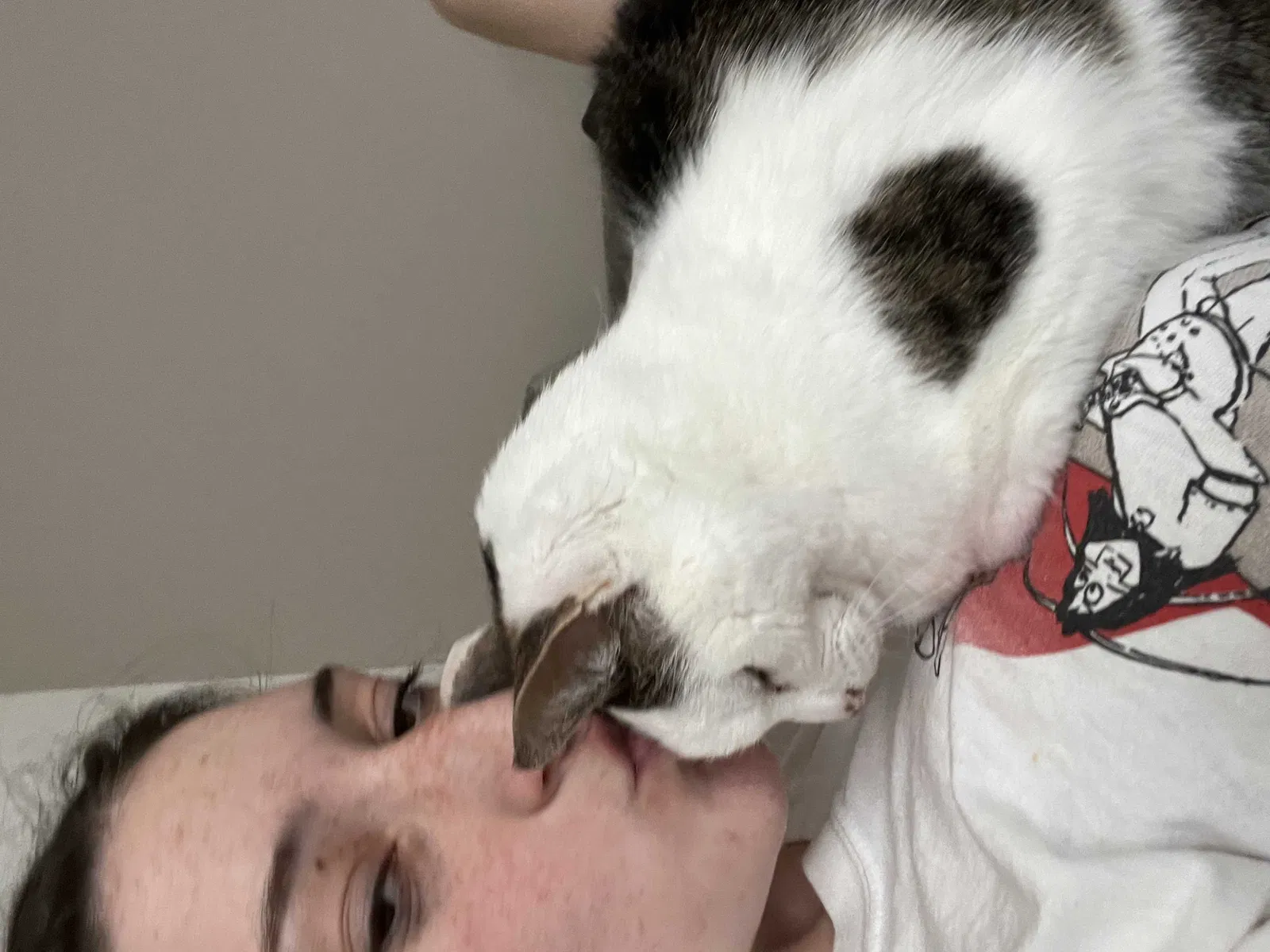 Lost cat in Crown Point, IN, 46307