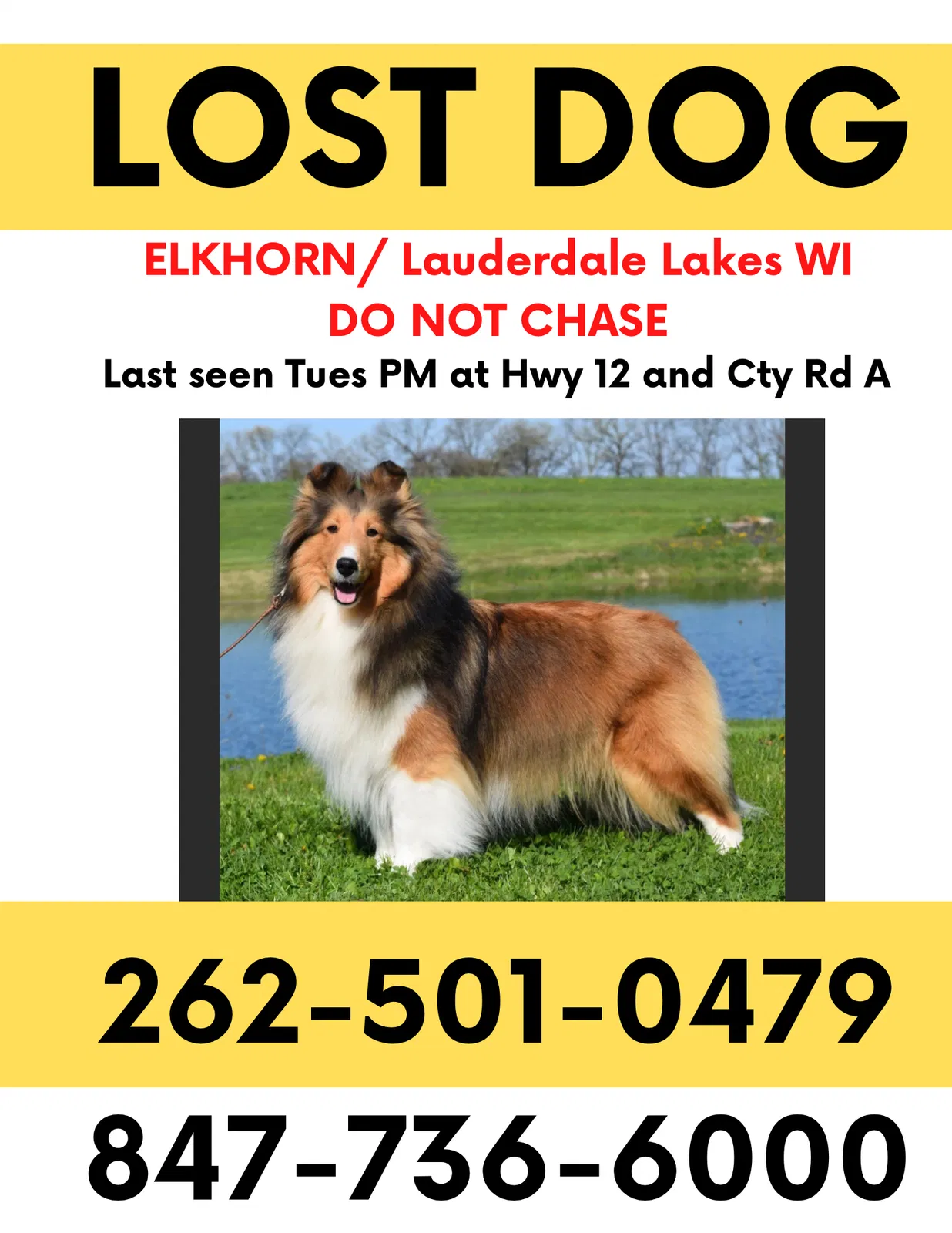 Lost dog in Elkhorn, WI, 53121